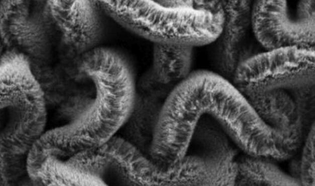 行业新闻：可拉伸的超等电容器，为柔性可衣着装备铺路